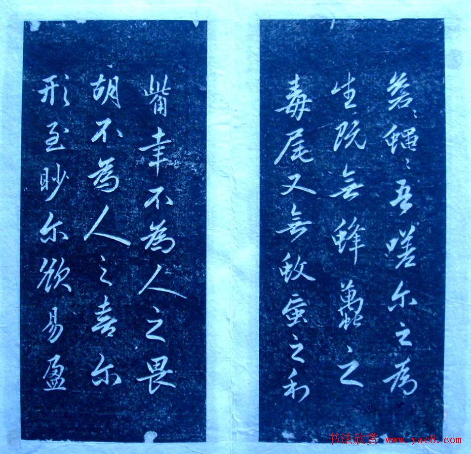 赵孟頫行书欣赏《憎苍蝇赋》拓本