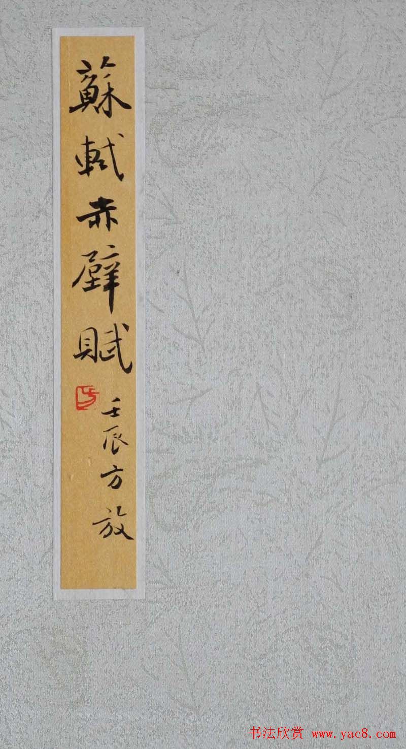 方放书法作品欣赏《苏轼赤壁赋》