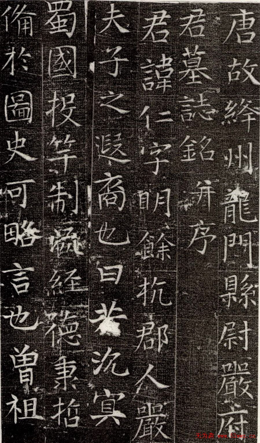 张旭书法楷书欣赏《严仁墓志》 张旭书法楷书欣赏《严仁墓志》