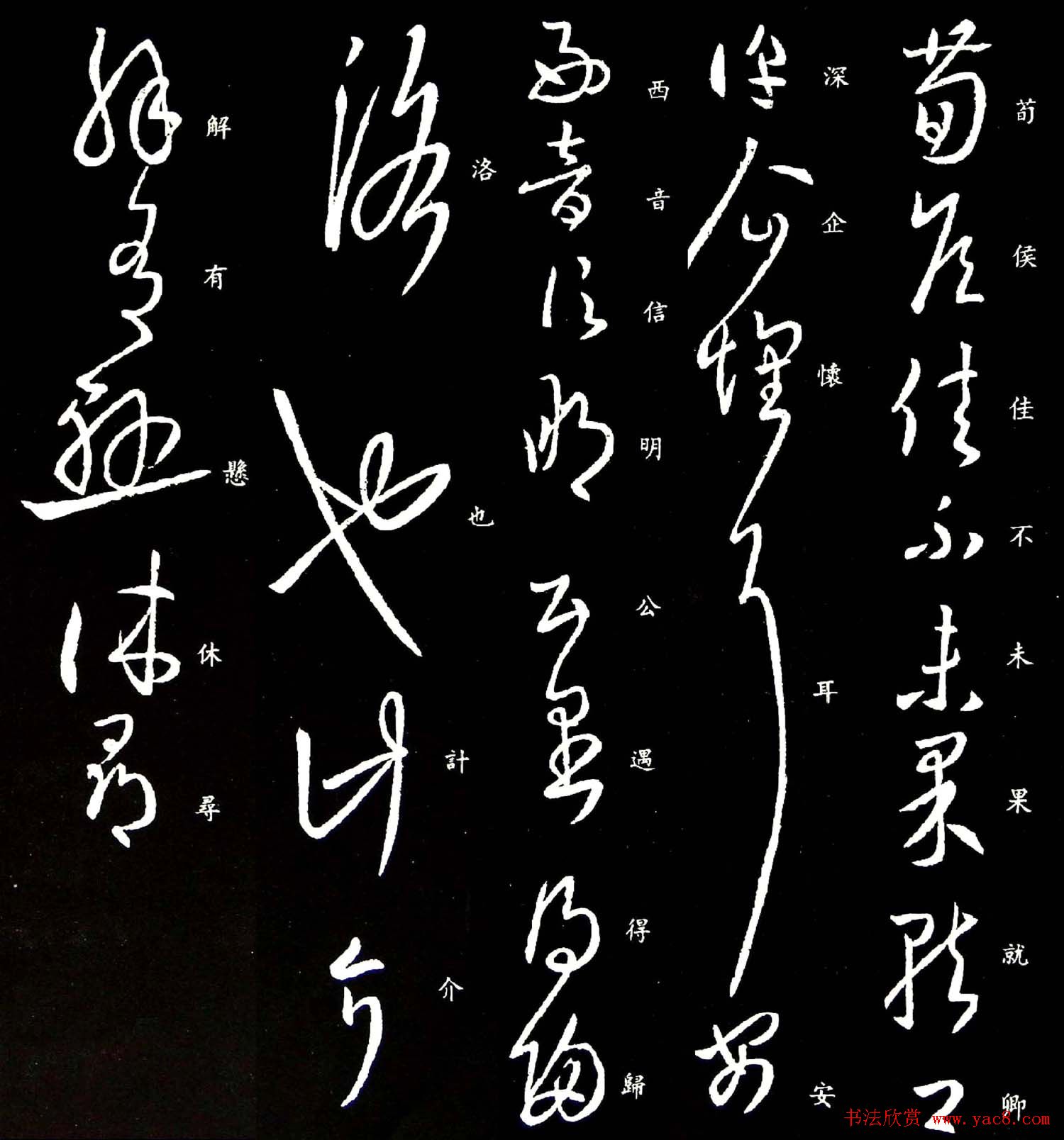 王羲之草书作品欣赏《荀侯帖》拓本三种