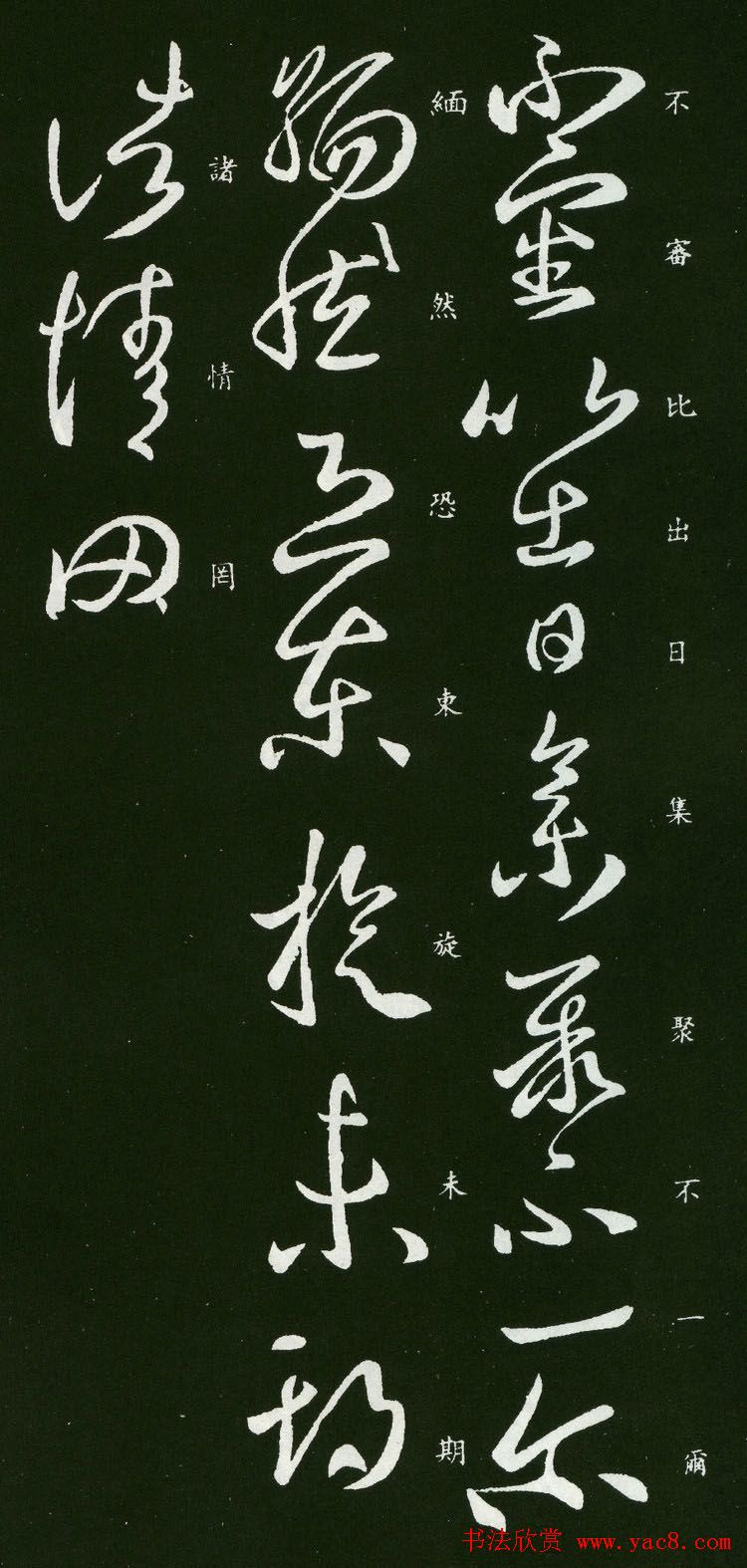 王羲之草书欣赏《不审帖》