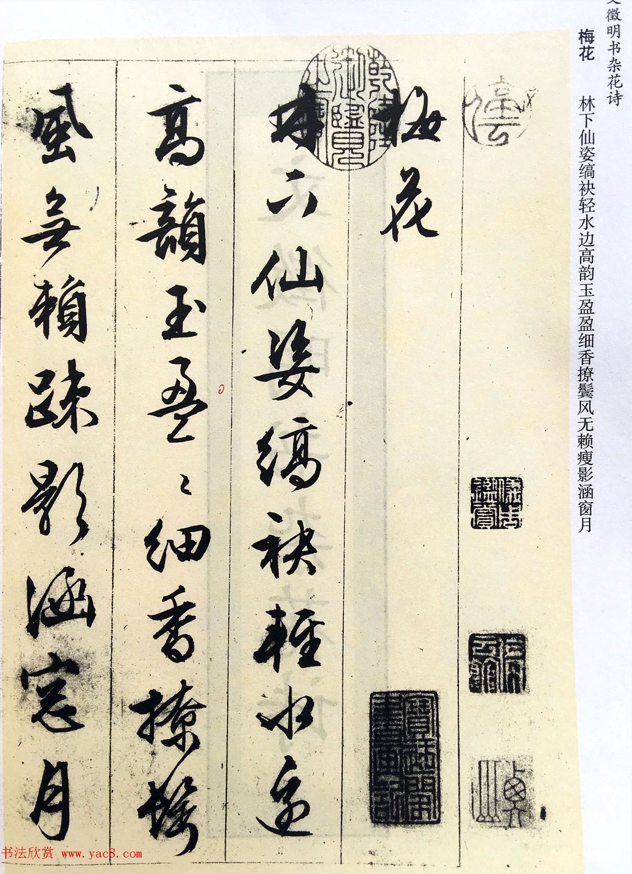 文徵明89岁墨宝《文征明书杂花诗十二首》