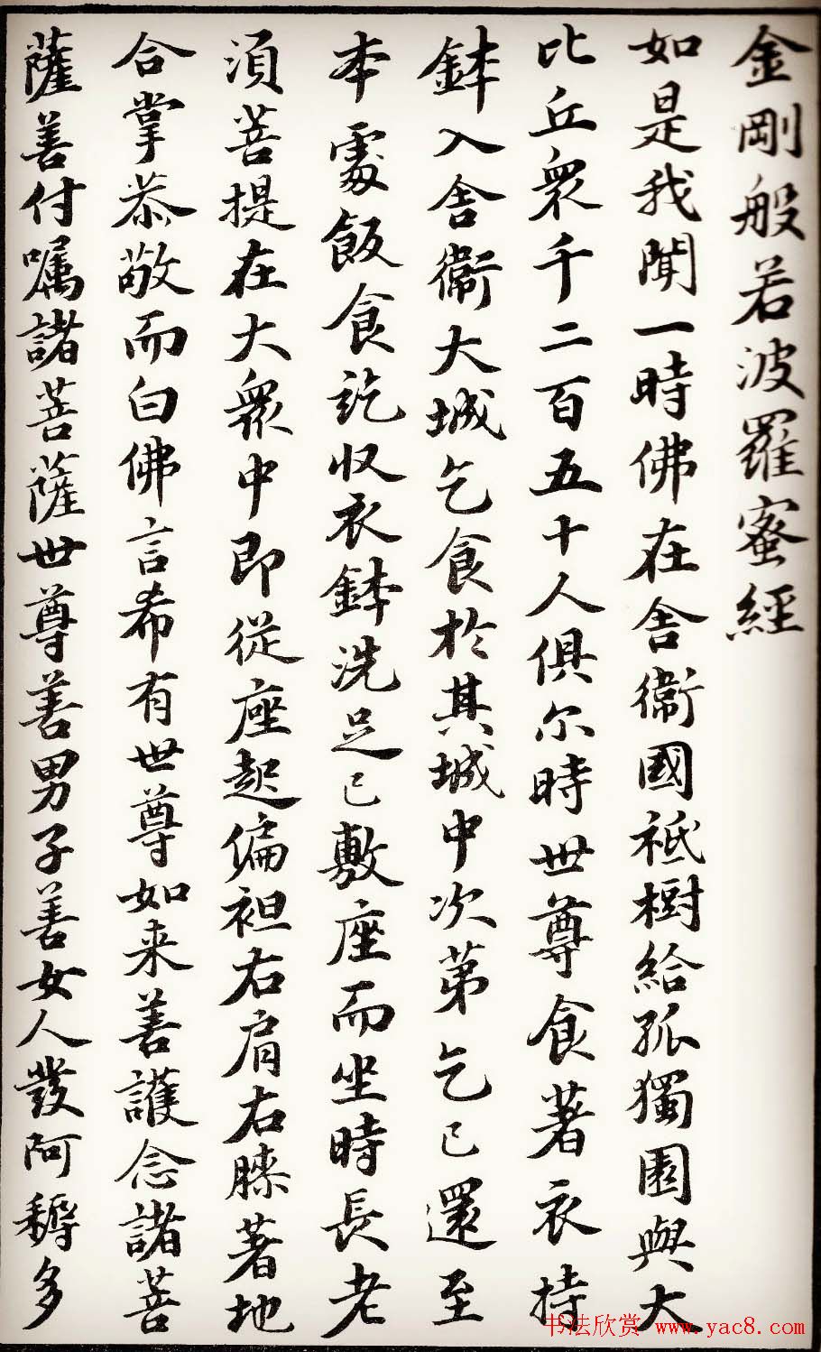 苏轼行楷书法欣赏《金刚经》全本