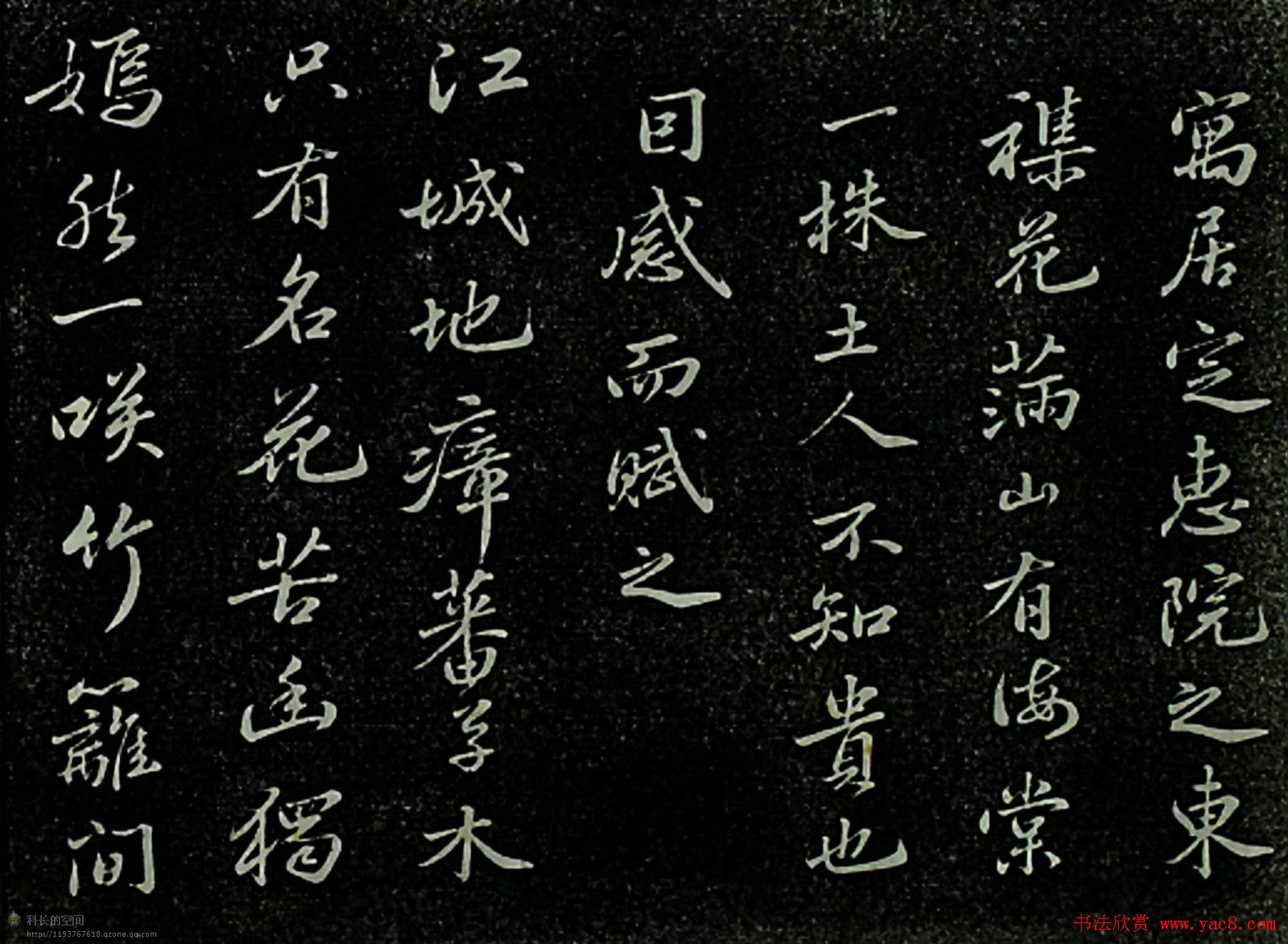 苏东坡书法欣赏《定慧院海棠诗》