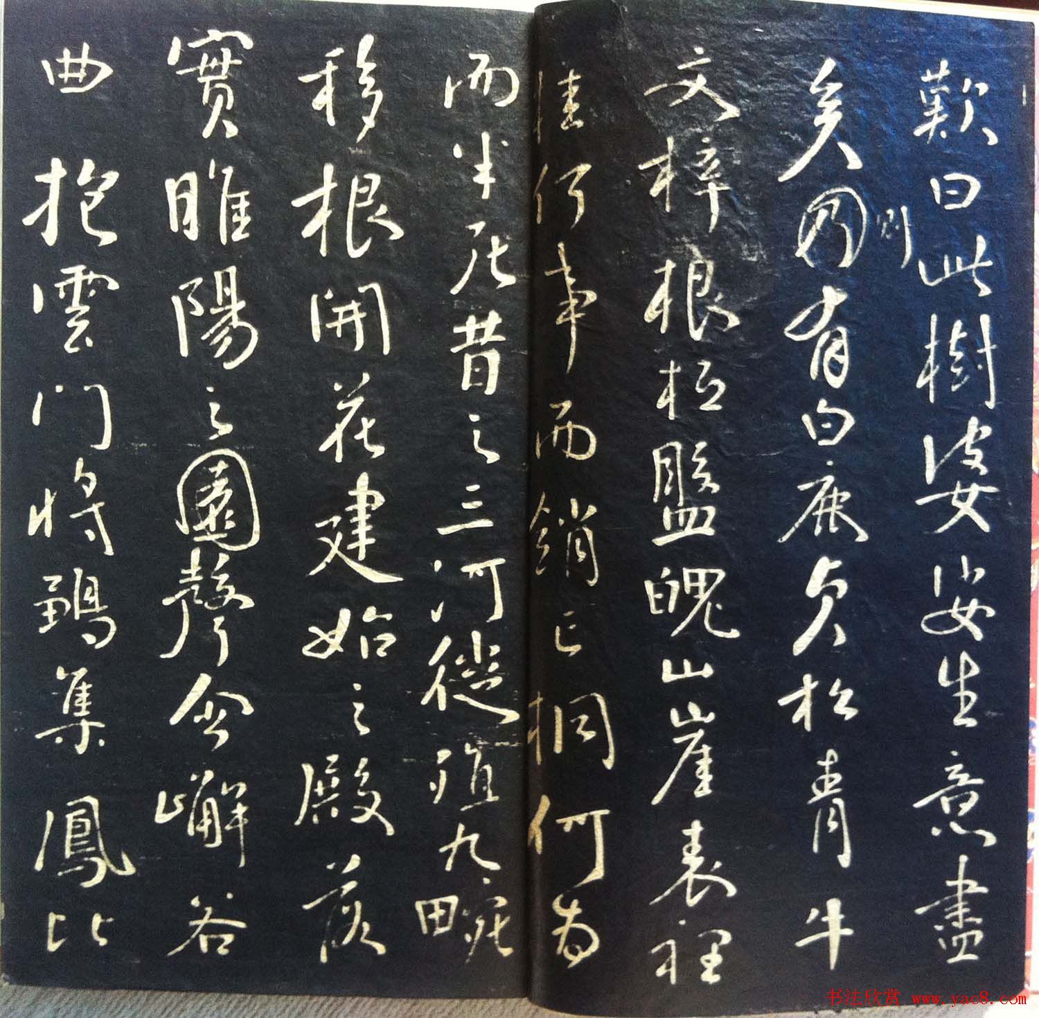 兰新家传书法碑帖分享《钱南园枯树赋》