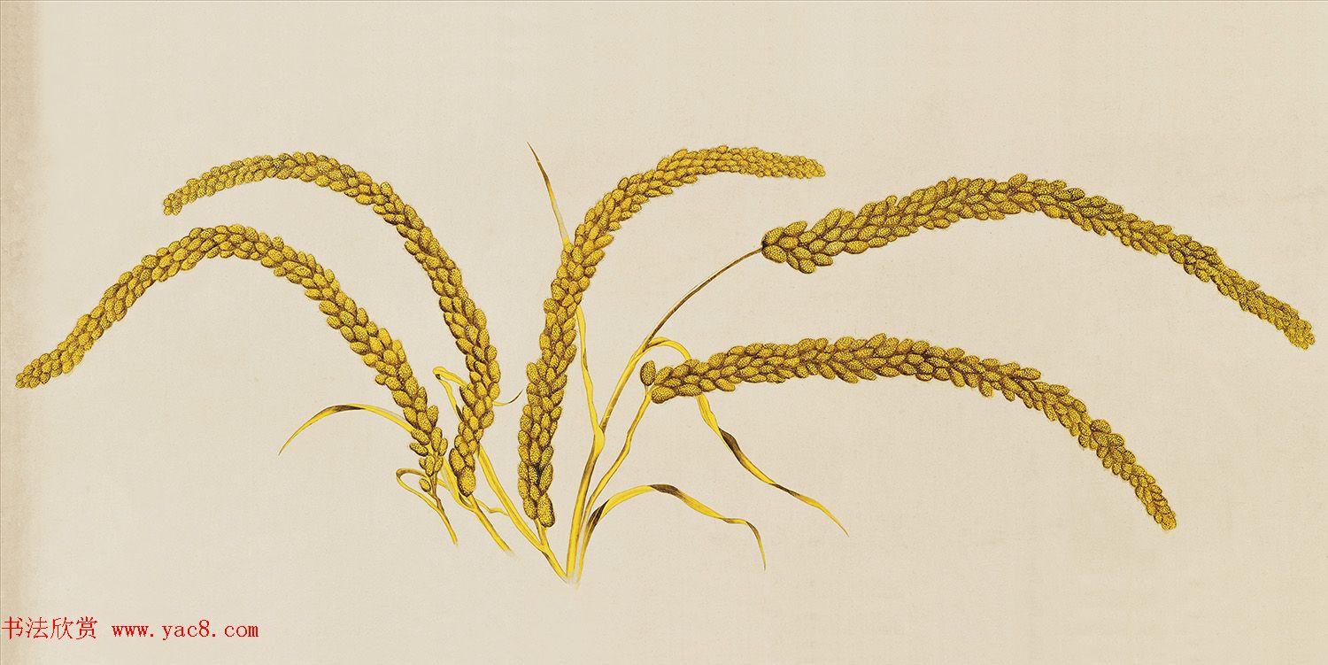 郎世宁瑞谷图+雍正帝的下诣诏书