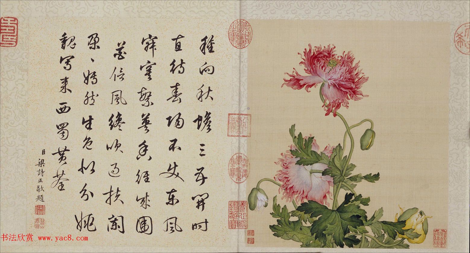 郎世宁工笔画欣赏《花鸟图册》梁诗正书法题诗