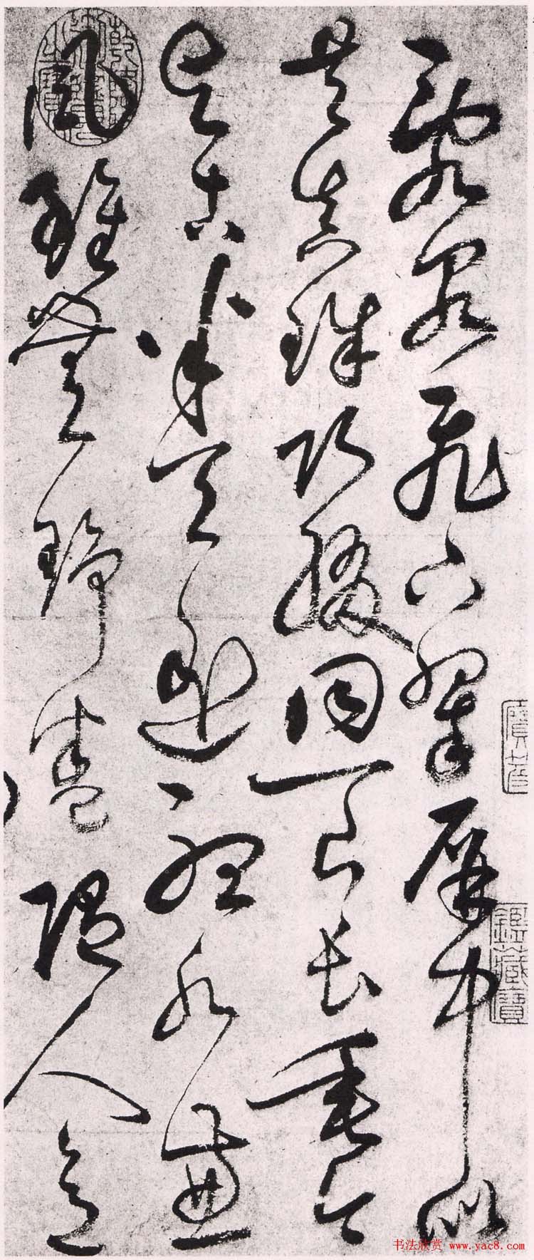 鲜于枢草书诗札欣赏《乱泉飞下》