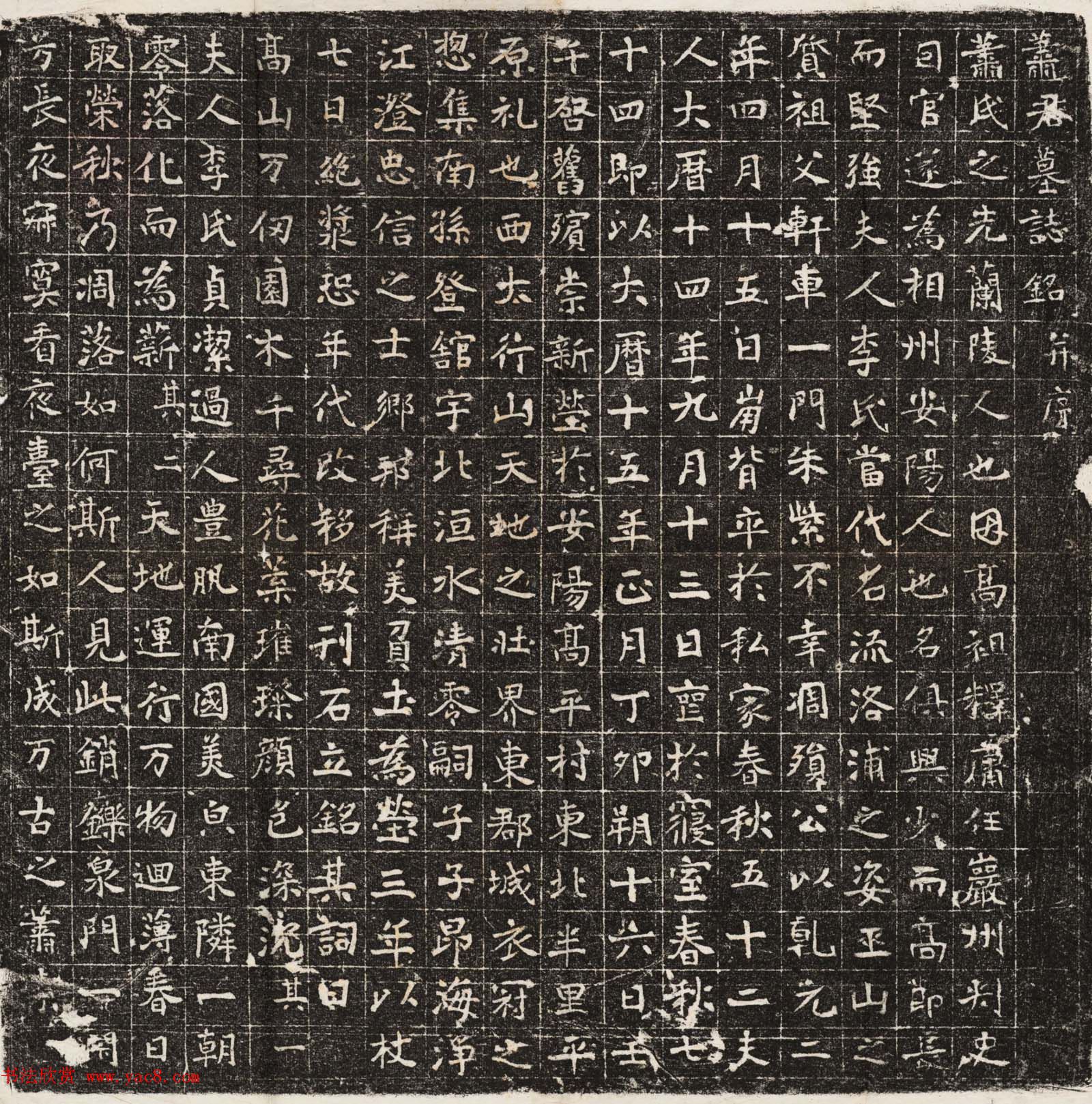 唐代楷书石刻《萧俱兴墓志》拓片