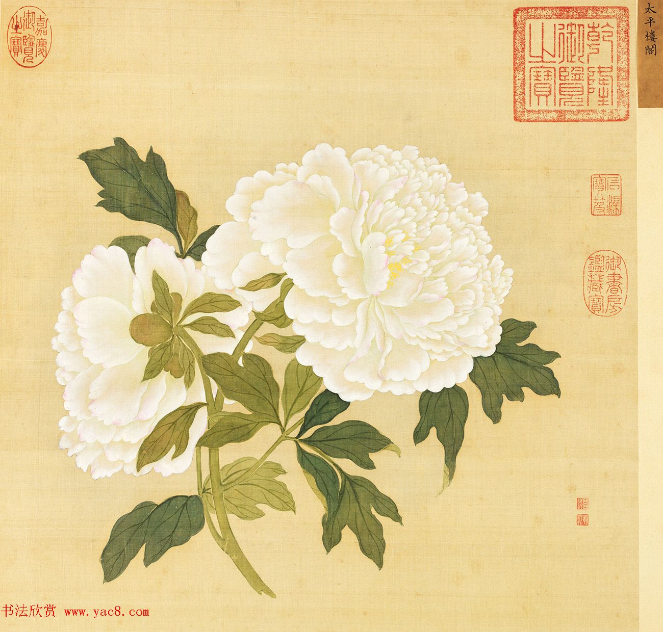 宫廷书法家戴临行书《题蒋廷锡牡丹谱》