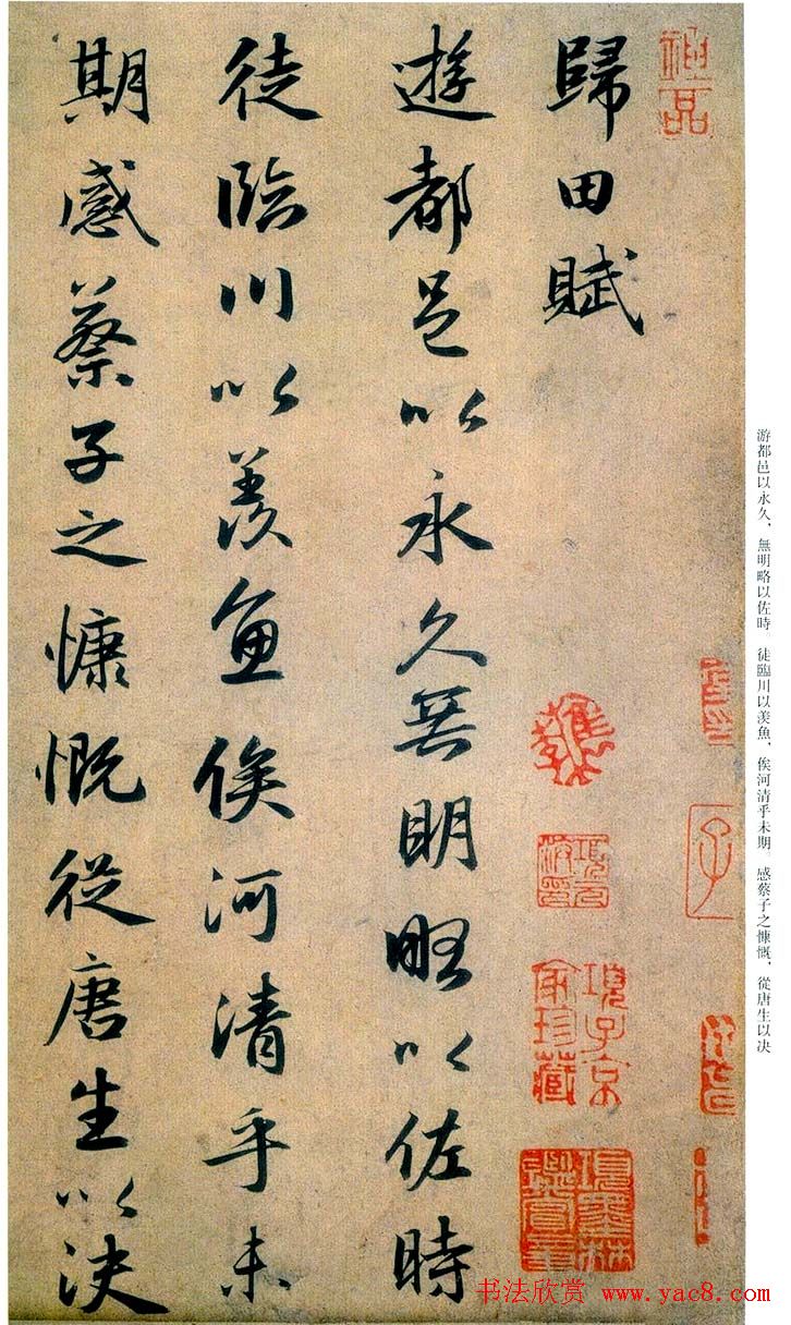 赵孟頫行书欣赏《归田赋》