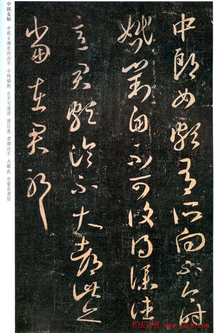 王羲之草书欣赏《中郎女帖》两种