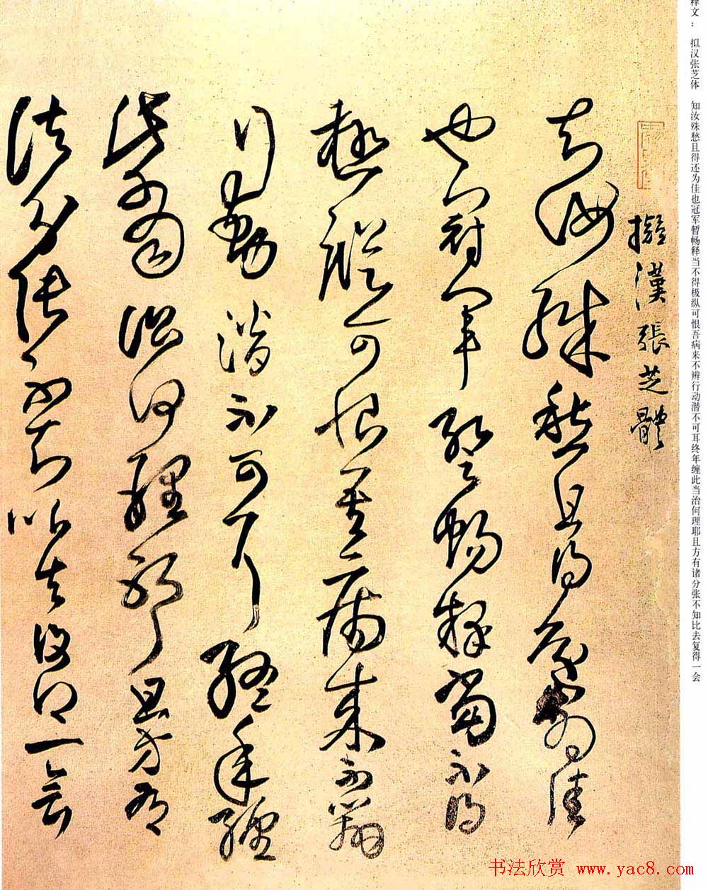 王铎草书欣赏拟汉张芝书法册页