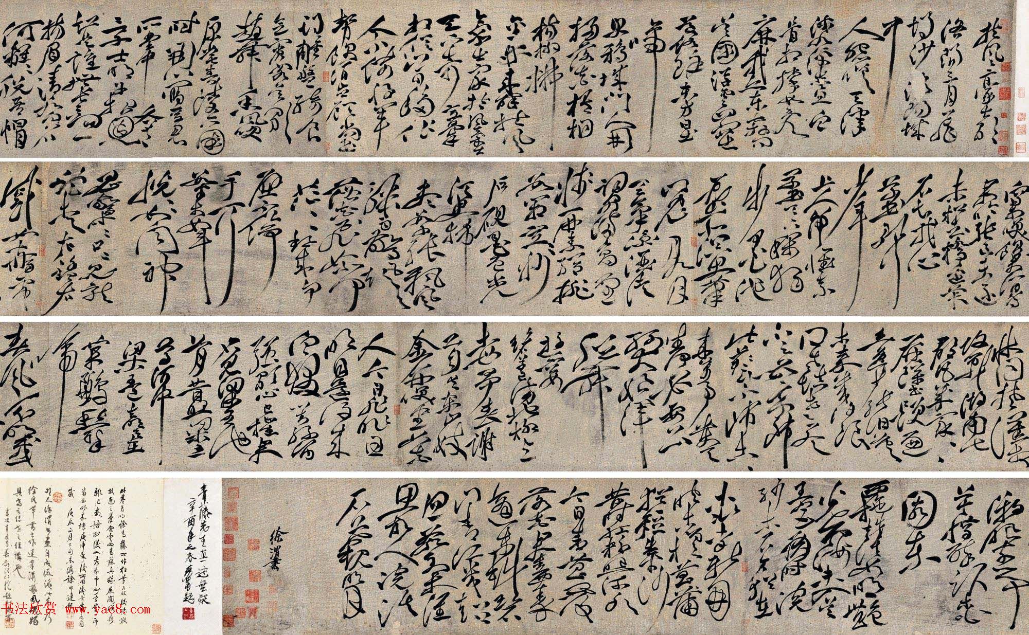 青藤先生真迹_徐渭狂草书法手卷欣赏 青藤先生真迹_徐渭狂草书法手卷欣赏