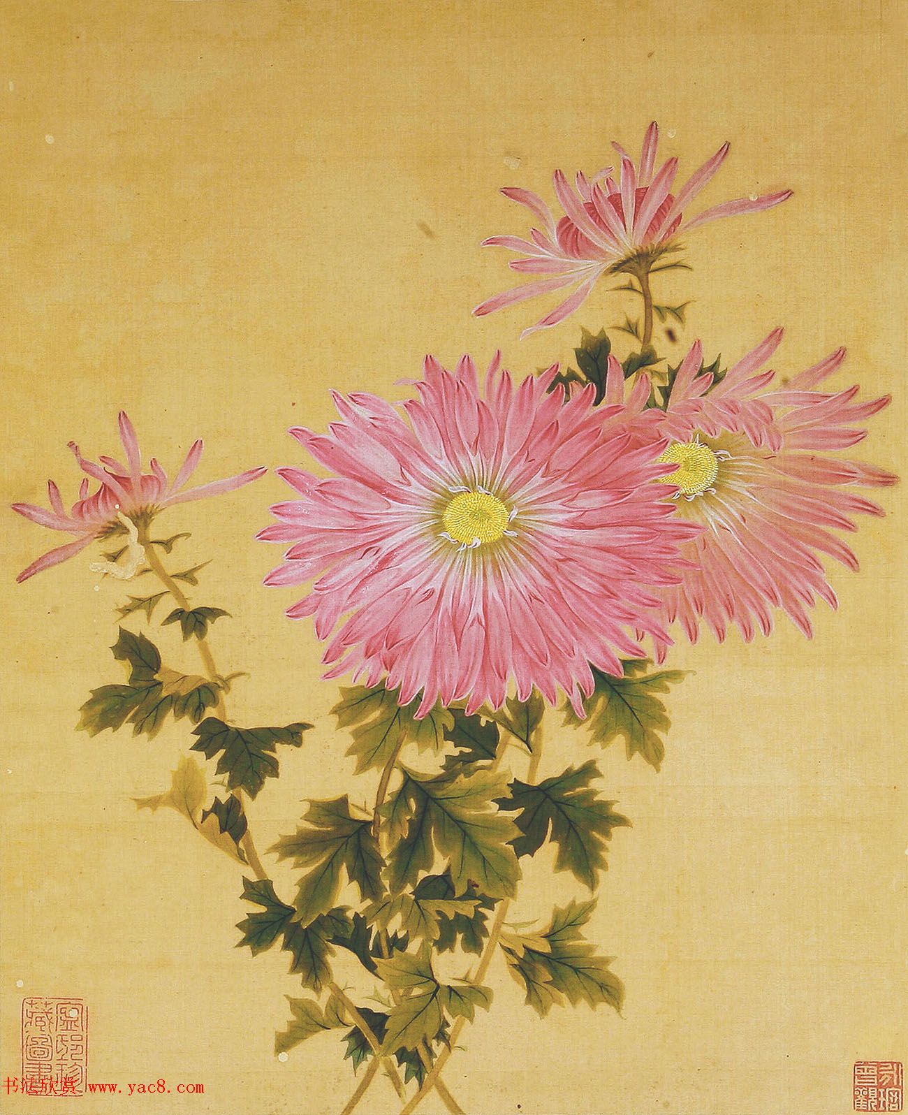 清代书法家湛畗书《菊谱》册页