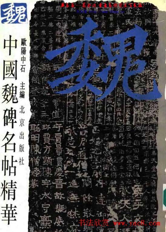 中国魏碑名帖精华(全1册).pdf