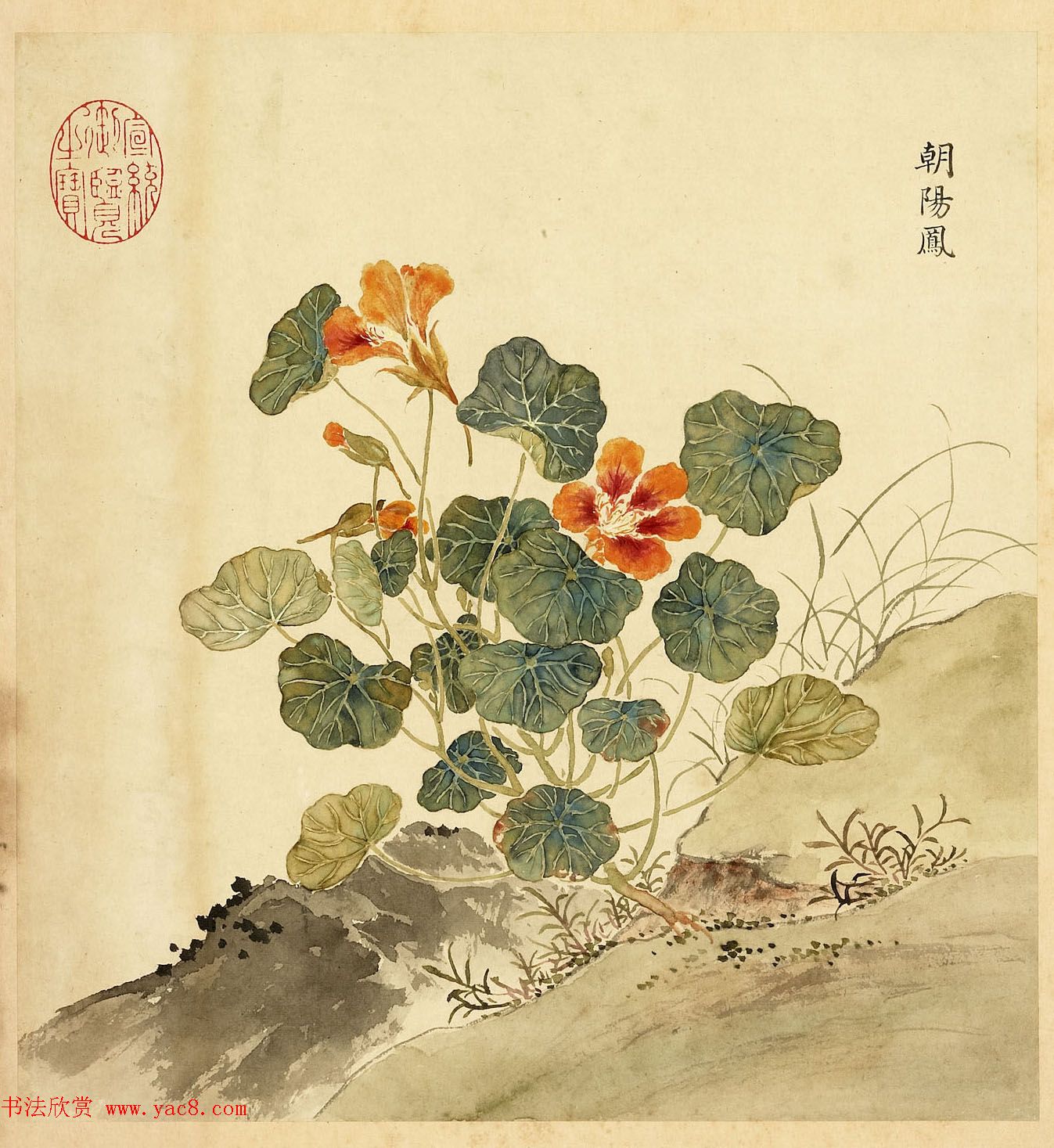 字画册页《海西杂卉》余省绘画+于敏中书法