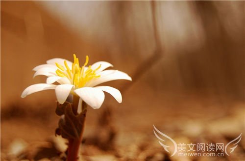 我不相信爱情，我相信你