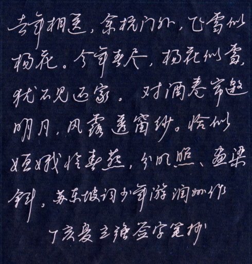 邓立强硬笔行书欣赏