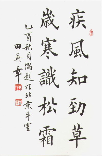 田英章书法作品欣赏