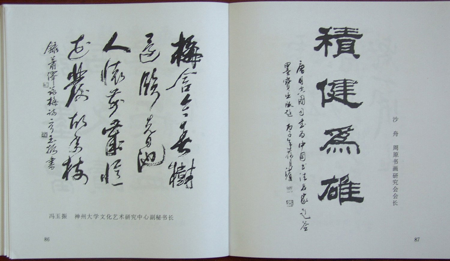 《中国书法名家题签墨宝》