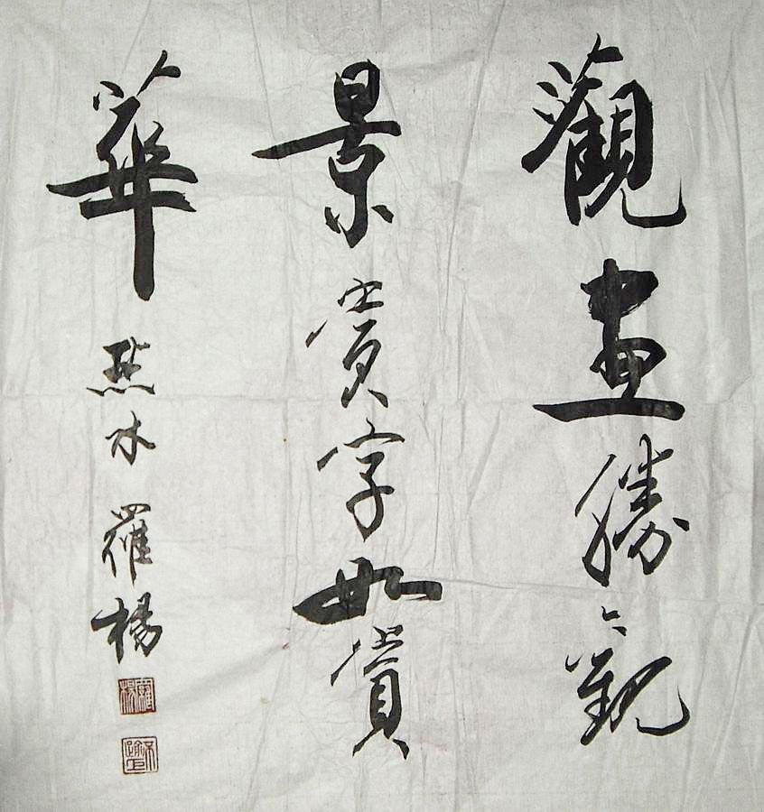 罗杨书法作品欣赏 罗杨书法作品欣赏