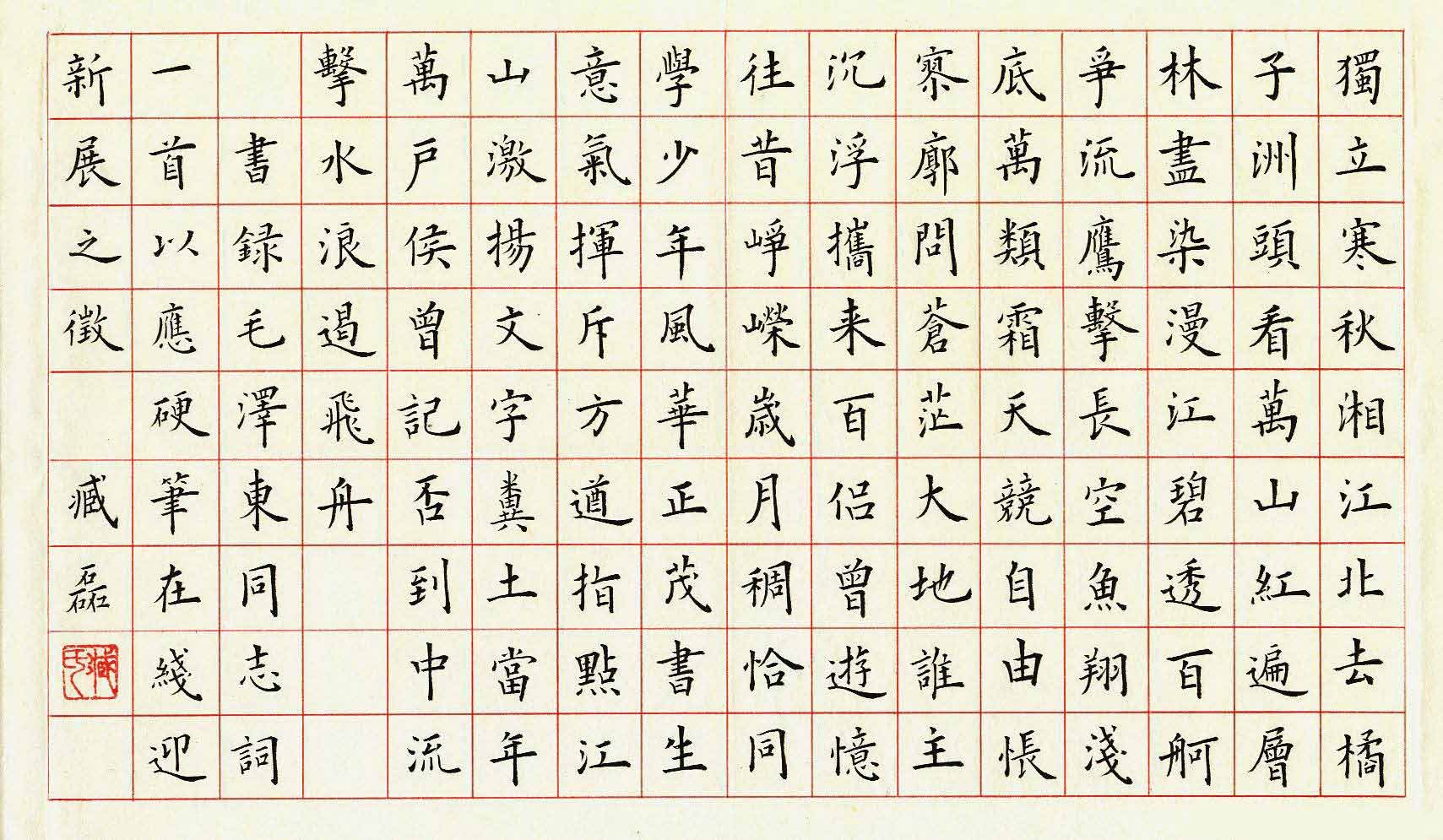 臧磊硬笔书法作品欣赏