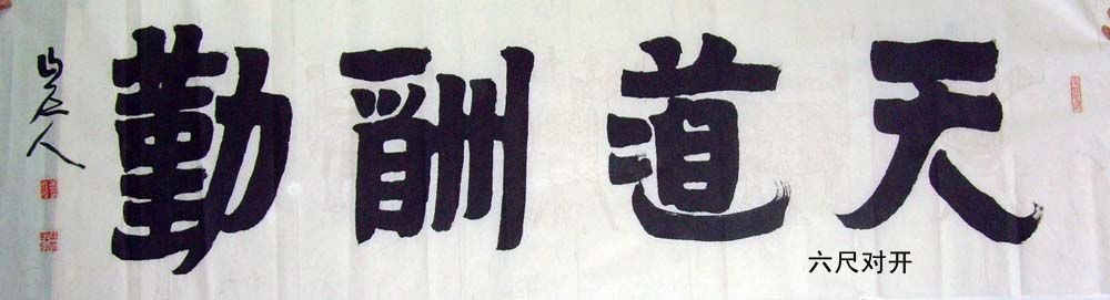 康成元书法作品欣赏