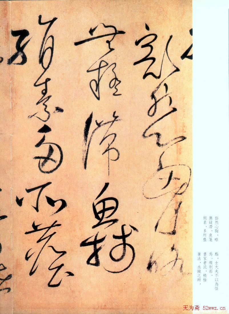 怀素草书《自叙帖》书法图片45P