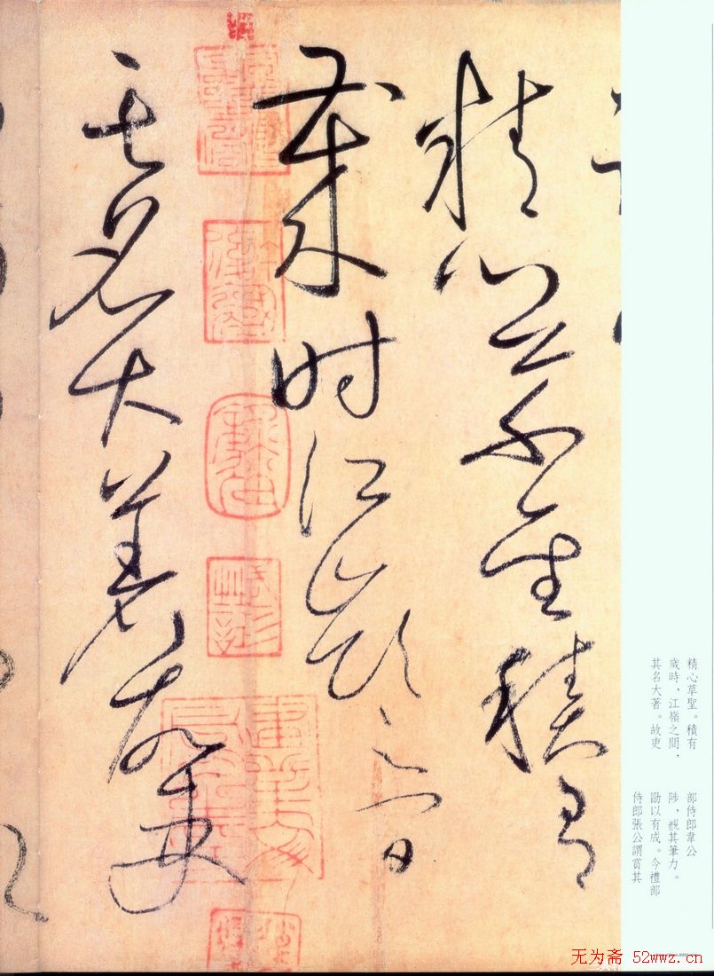 怀素草书《自叙帖》书法图片45P