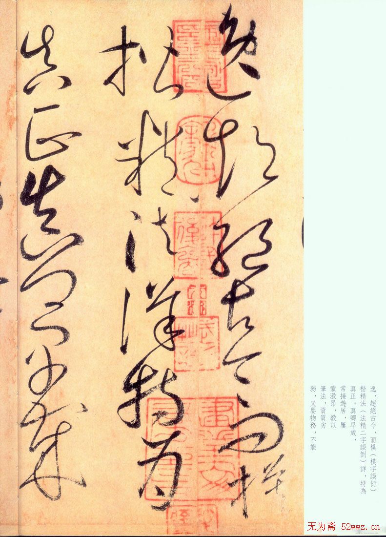 怀素草书《自叙帖》书法图片45P