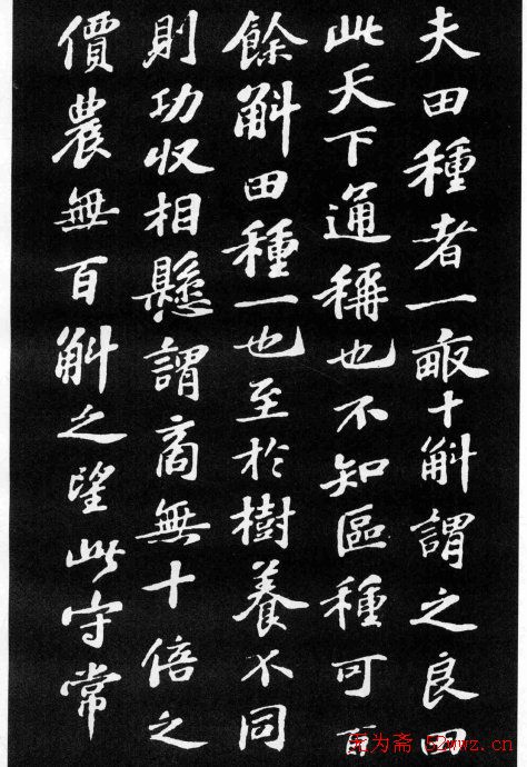 苏轼小楷欣赏《养生论》拓本