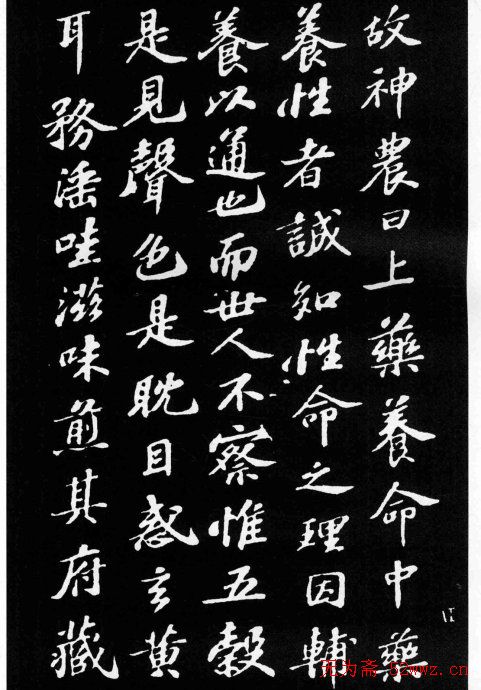 苏轼小楷欣赏《养生论》拓本