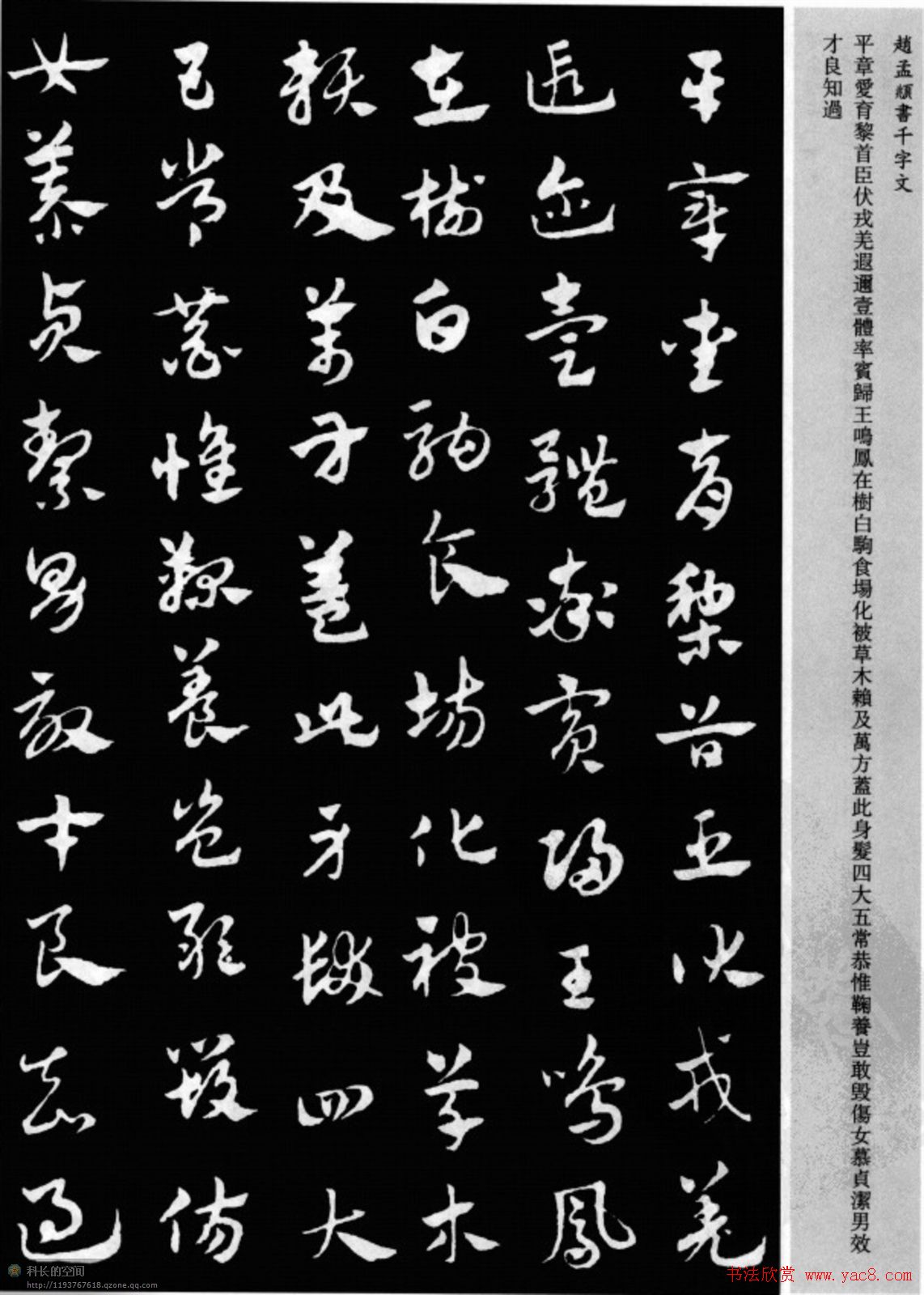 赵孟頫书法章草千字文(附释文)图片17P