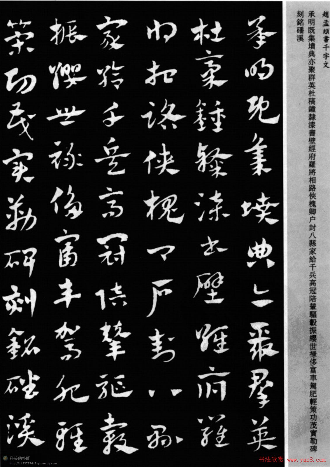 赵孟頫书法章草千字文(附释文)图片17P