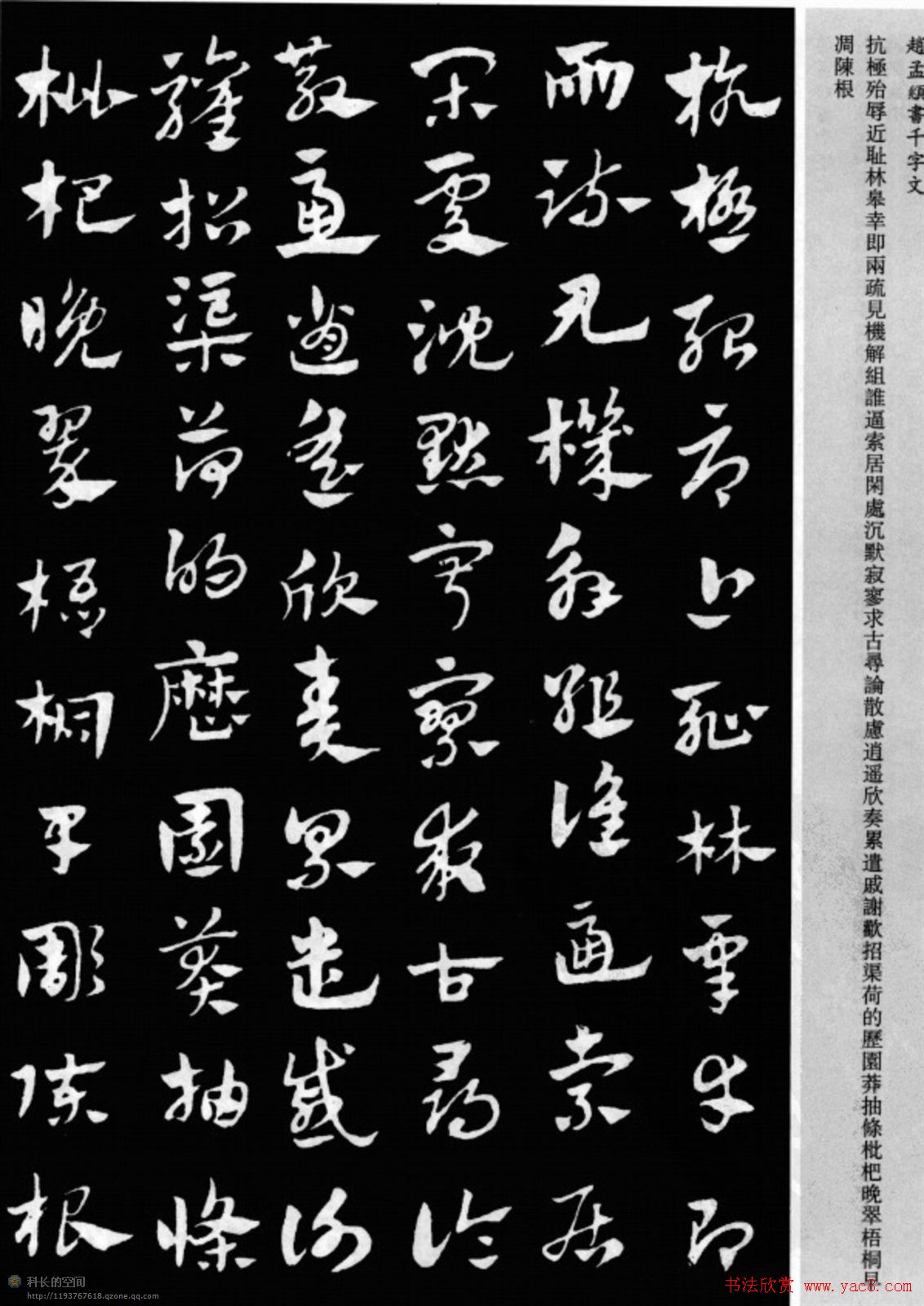 赵孟頫书法章草千字文(附释文)图片17P