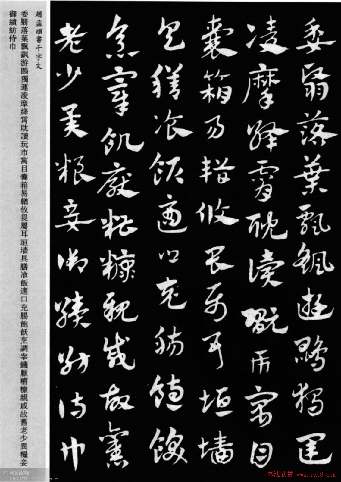 赵孟頫书法章草千字文(附释文)图片17P