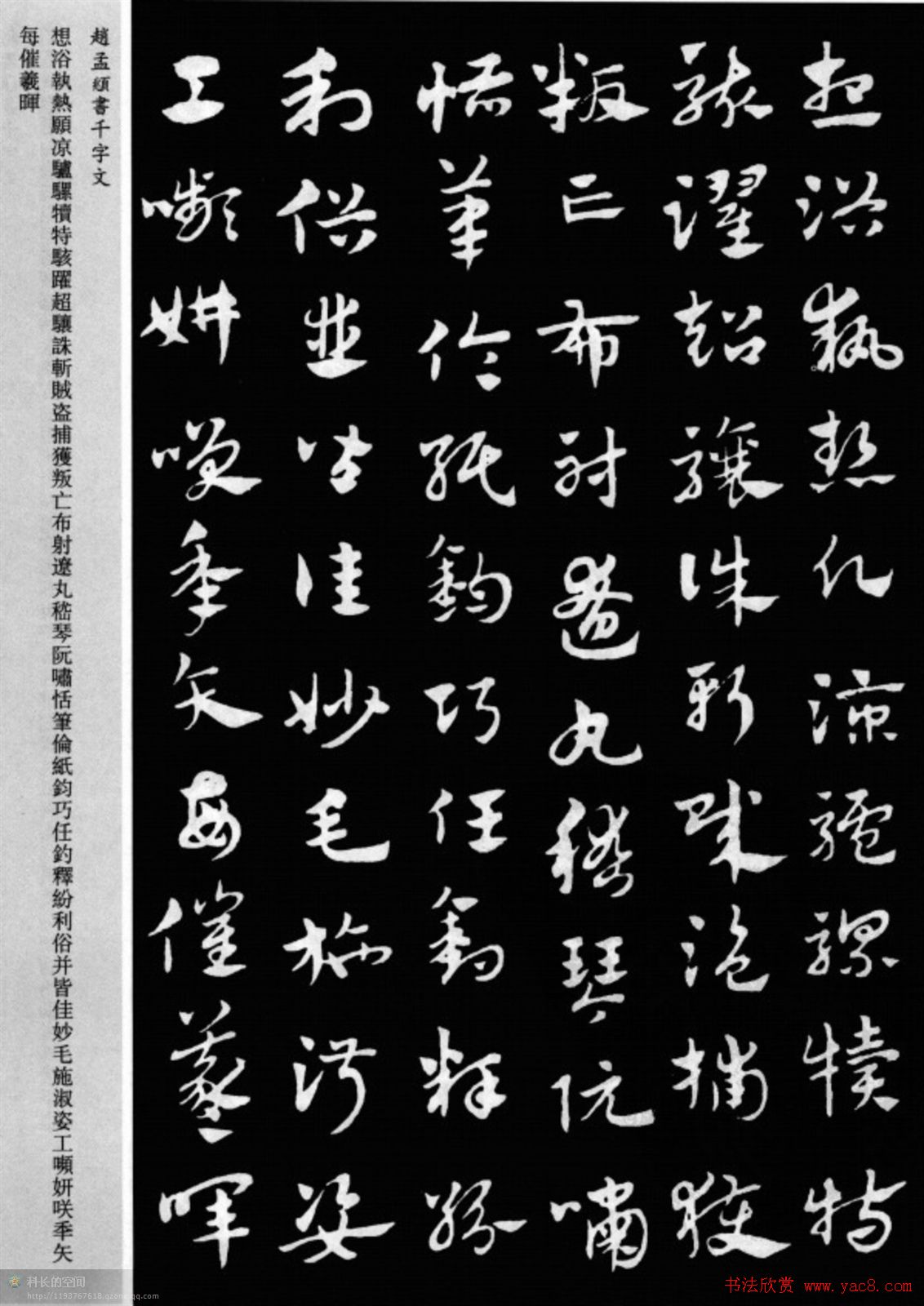 赵孟頫书法章草千字文(附释文)图片17P