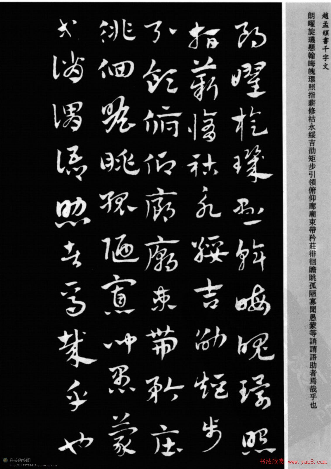 赵孟頫书法章草千字文(附释文)图片17P