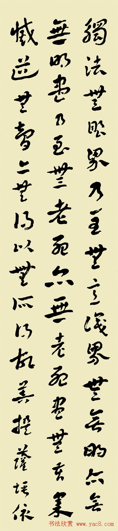 常福居士书法欣赏章草心经