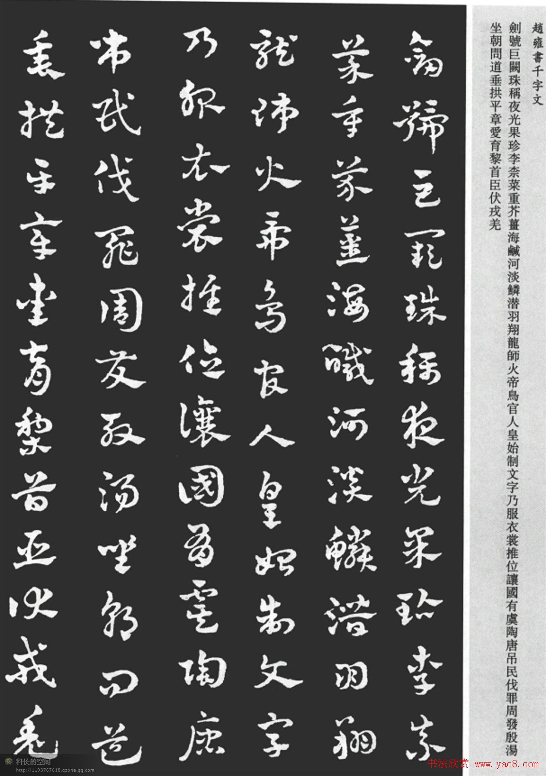 赵雍书法《章草千字文》大图欣赏