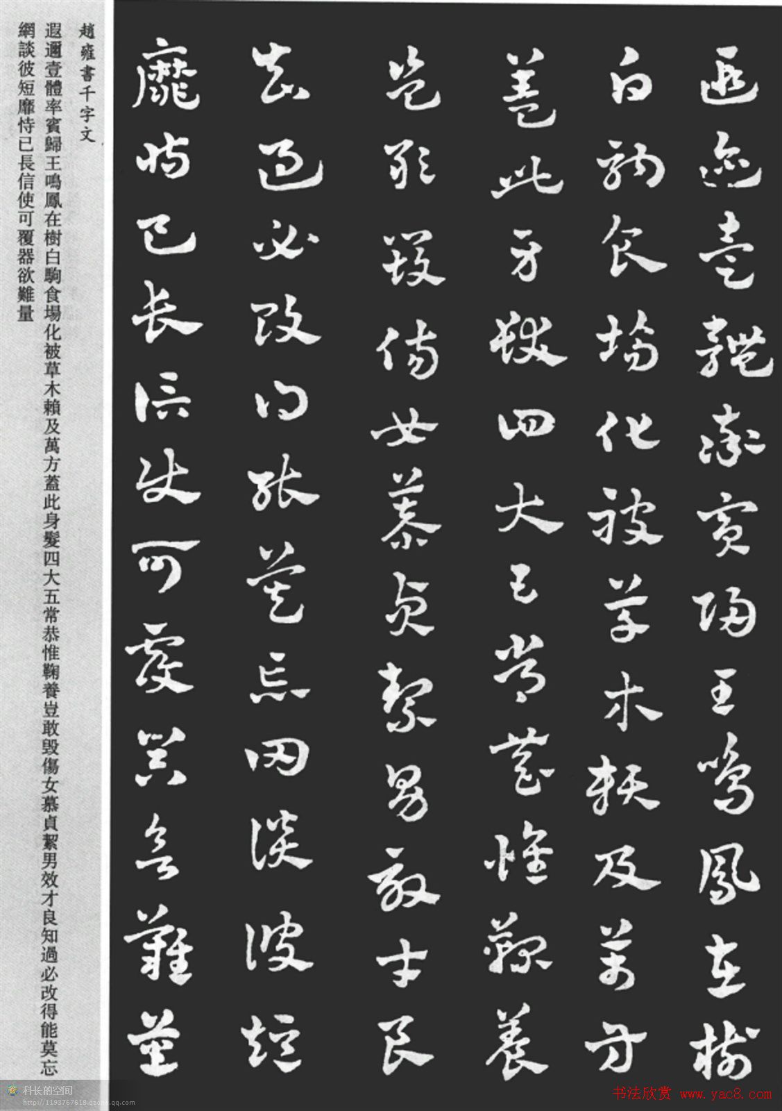 赵雍书法《章草千字文》大图欣赏