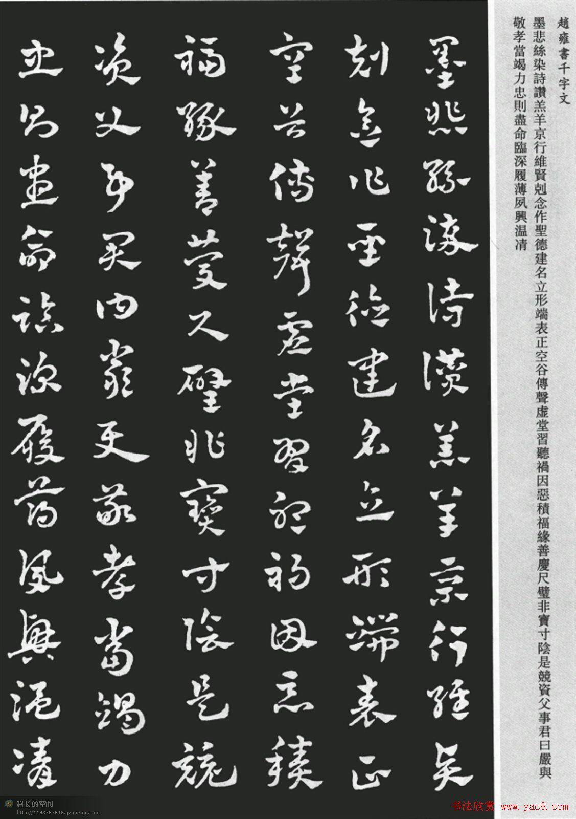 赵雍书法《章草千字文》大图欣赏