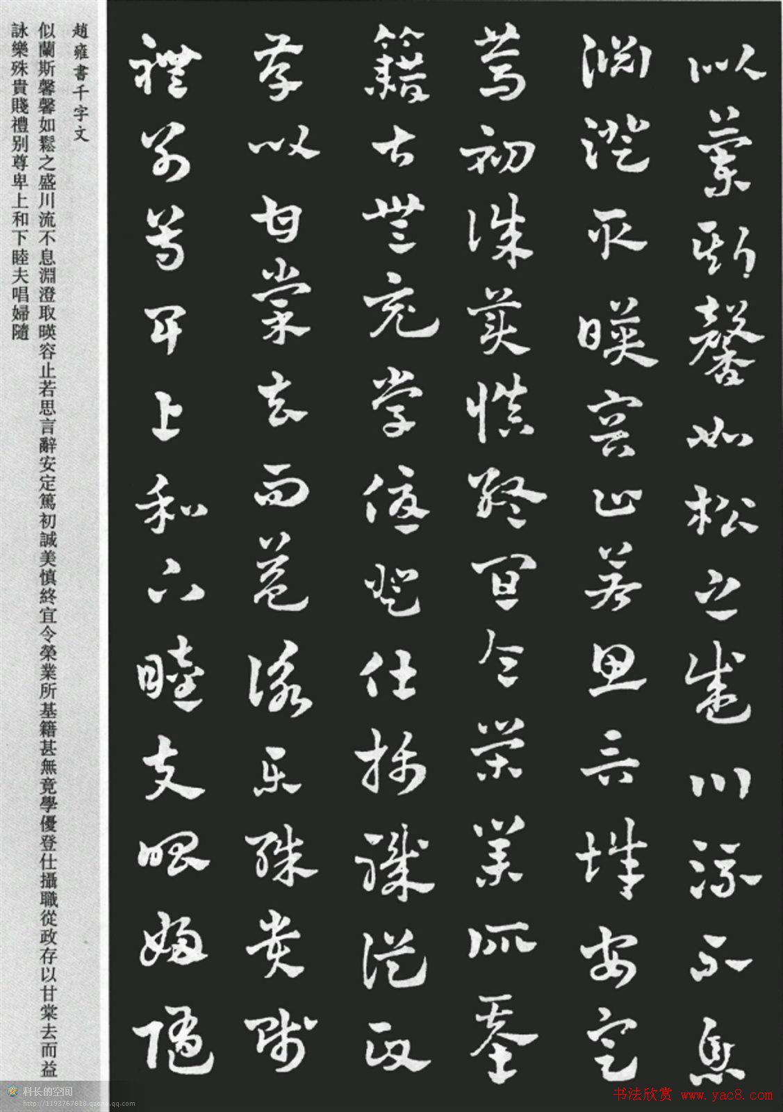 赵雍书法《章草千字文》大图欣赏