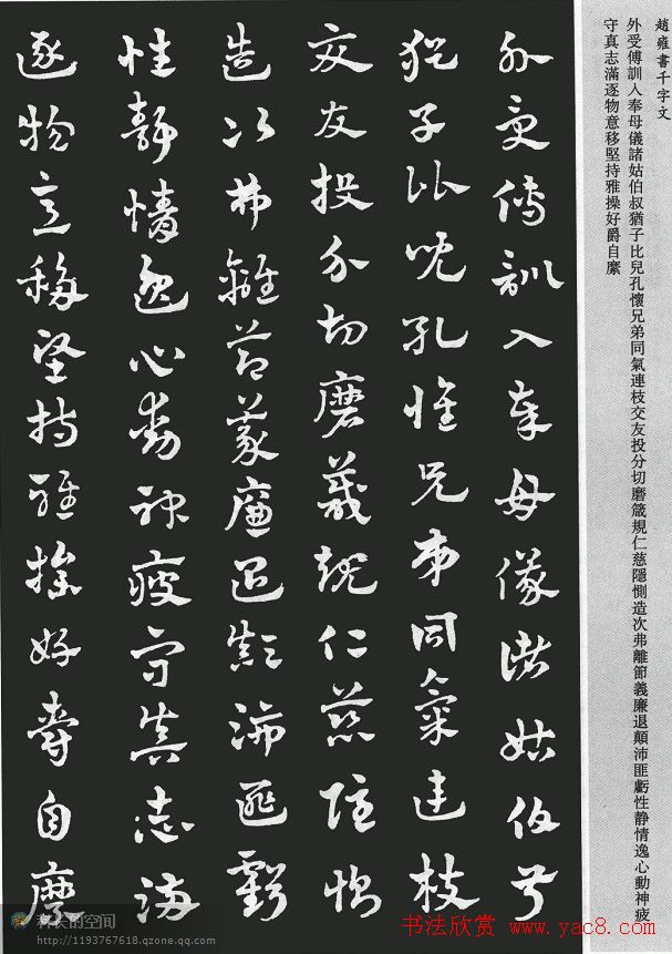 赵雍书法《章草千字文》大图欣赏