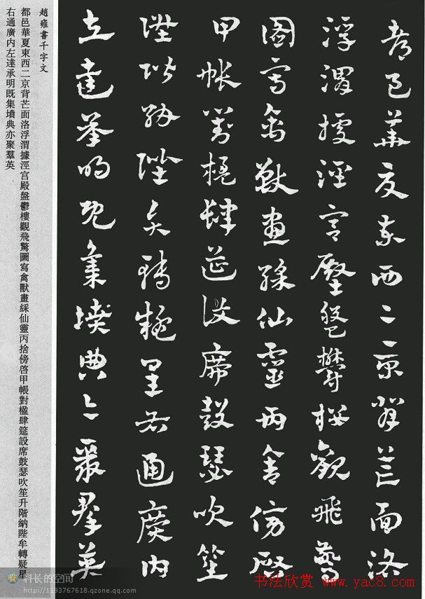 赵雍书法《章草千字文》大图欣赏