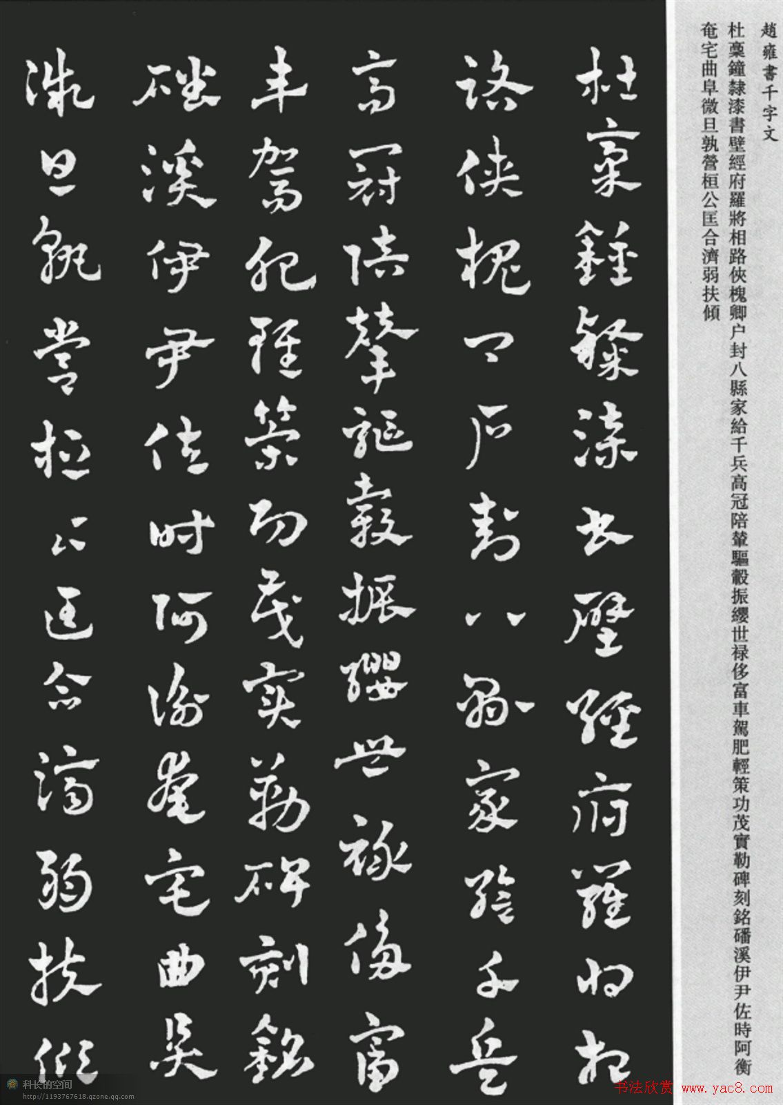 赵雍书法《章草千字文》大图欣赏