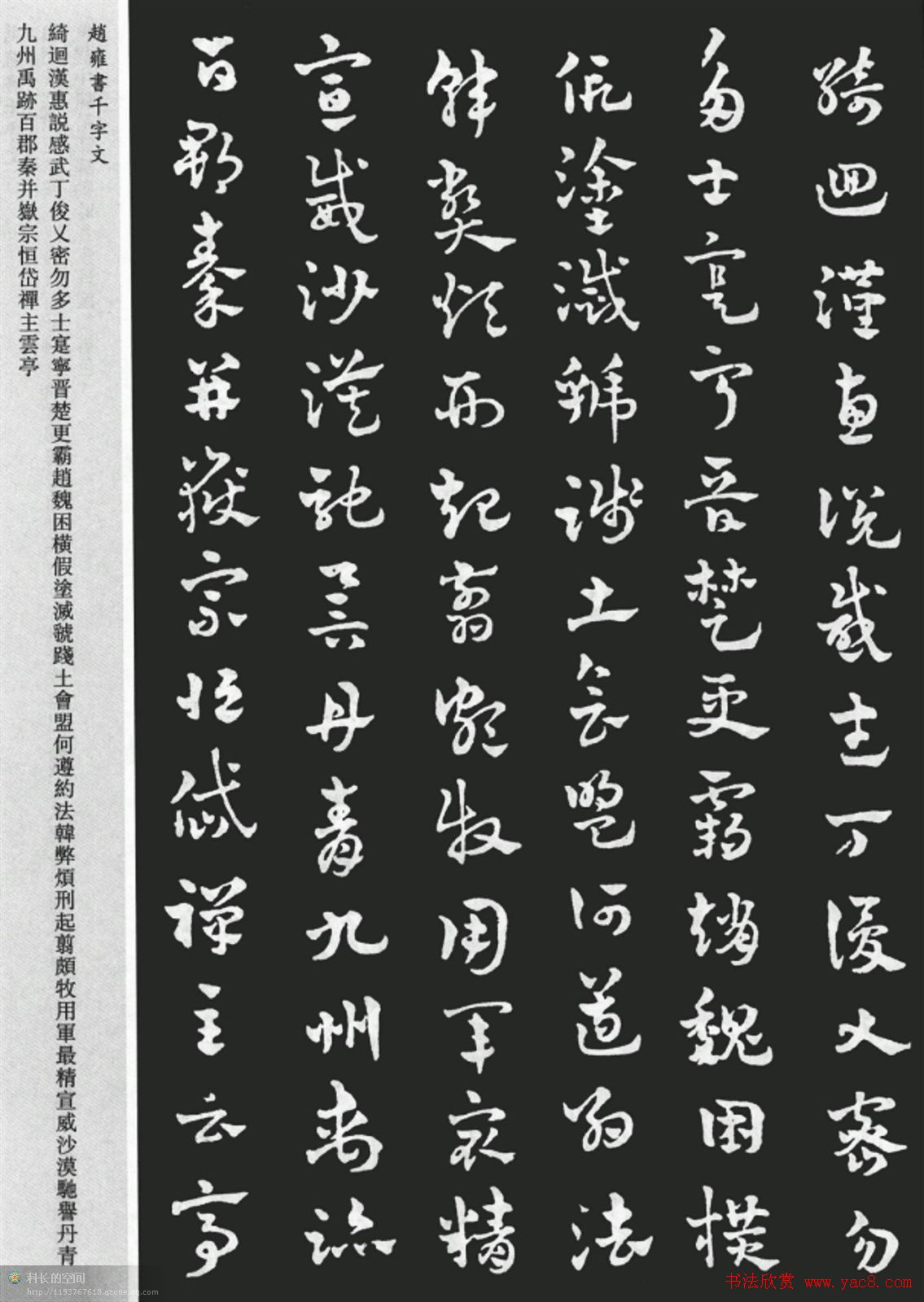 赵雍书法《章草千字文》大图欣赏