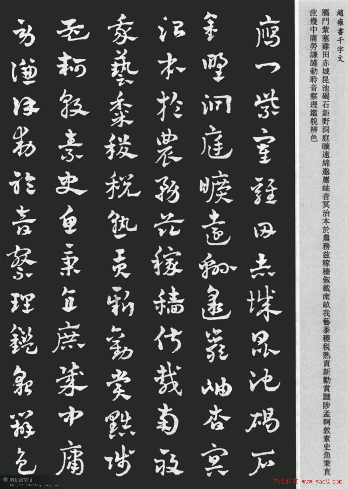 赵雍书法《章草千字文》大图欣赏