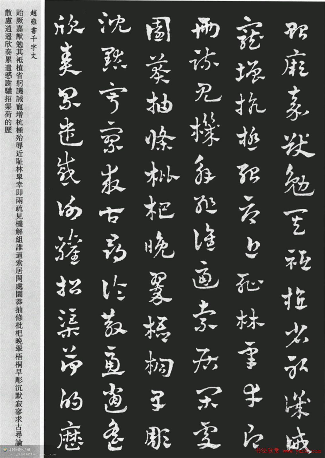 赵雍书法《章草千字文》大图欣赏